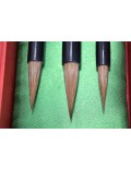 Special selection of painting brushes